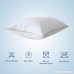 Acrafsman Luxury Goose Down Pillow 100% Egyptian Cotton 1000 Thread Count QUEEN Size(20x28inches Stripes Cover)-Soft Comfortable Hypoallergenic Dust-Mite Resistant - B07BDFRCJ7
