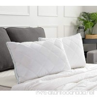 Basic Beyond White Gusseted Feather Down Pillow (Queen) Most Popular Feather Down Pillow Soft Quilted Desigen for Support of Sleeping  Set of 2 - B01KX2IBZU