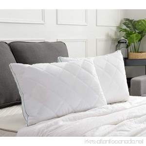 Basic Beyond White Gusseted Feather Down Pillow (Queen) Most Popular Feather Down Pillow Soft Quilted Desigen for Support of Sleeping Set of 2 - B01KX2IBZU