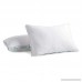Beautyrest Extra Firm Pillow for Back & Side Sleeper Two Pack Standard - B0039MHBW6