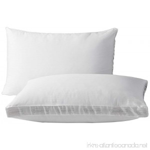 Beautyrest Extra Firm Pillow for Back & Side Sleeper Two Pack Standard - B0039MHBW6