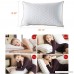 beegod Bed Pillows 2 Pack For Better Sleeping Super Soft & Comfortable Antibacterial & Anti-mite Best Hotel Pillows Relief For Migraine & Neck Pain - B01MZ30BQ9