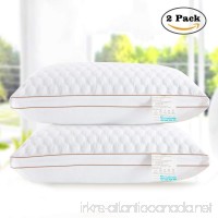 beegod Bed Pillows 2 Pack For Better Sleeping  Super Soft & Comfortable Antibacterial & Anti-mite  Best Hotel Pillows  Relief For Migraine & Neck Pain - B01MZ30BQ9