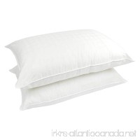 Century Home C422-065 Supreme Polyester Filled Pillow (2 Pack)  Queen - B01IN2T6P6