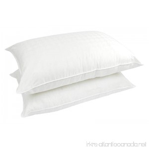Century Home C422-065 Supreme Polyester Filled Pillow (2 Pack) Queen - B01IN2T6P6
