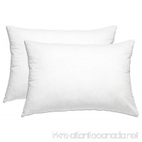 CGK Unlimited Standard Size Pillows 2 Pack - Fluffy and Comfortable - White 20 x 26 Inch - Comfy Fluff and Plush - Two Pillow Set - Standard - Softer Than Feather Goose Down - Luxury Hotel Quality - B06X16RF8C