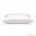 Clearance Sale – Soft White Goose Down Hypoallergenic Pillow – Luxury Home Catalog Collection – Perfect for Stomach Sleepers (Standard 20 x 26) - B00UCB4IQE