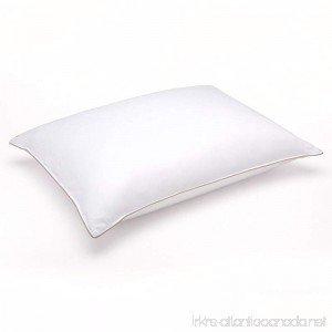 Clearance Sale – Soft White Goose Down Hypoallergenic Pillow – Luxury Home Catalog Collection – Perfect for Stomach Sleepers (Standard 20 x 26) - B00UCB4IQE