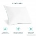 Coastal Comfort Gel Pillow (2-Pack) - Luxury Hotel Quality Plush Gel Fiber Pillow - Hypoallergenic & Dust Mite Resistant - Queen - B077GC5FR6