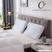 Comfort & Relax Cool Gel Memory Foam Contour Pillow for Sleeping Neck Support Standard 1-Pack - B01J0Q6S4Q