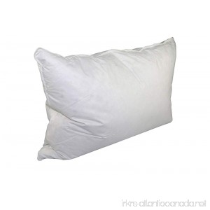 Down Dreams CLASSIC FIRM Pillow (Formerly Classic Too) - Queen - B07BB2MTQK