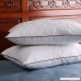 DOWNIGHT Set of 2 Down and Feather Pillow Double layered Fabric Bed pillow Standard/Queen - B07589WY1F