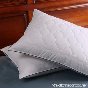 DOWNIGHT Set of 2 Down and Feather Pillow Double layered Fabric Bed pillow Standard/Queen - B07589WY1F