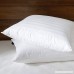 downluxe Goose Feather Down Pillow - Set of 2 Bed Pillows for Sleeping with Premium 100% Cotton Shell Queen - B01JIBYSG8