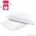 Gel Pillow Premium Series Down Alternative Dust Mite Resistant Hotel Quality Pillows (Standard Size) (2 Pack) - B07BTTRSL5