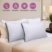 HOMEIDEAS Bed Pillows for Sleeping - (2 Pack Standard Size) - Super Soft Down-Alternative Luxury Hotel Fluffy Pillows 3D Shape Dust Mite Resistant & Hypoallergenic NO FLAT! - B0756Z7RRM