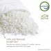 Meeracula Pillows for Sleeping PREMIUM Adjustable Loft - Shredded Certipur Memory Foam Pillow for Neck Pain Relief Bamboo Cover with Cooling Effect For Side Back Stomach Sleeper Queen Size - B07D51W11F