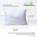 Milddreams Pillows for sleeping 2 pack- Pillows Standard size 20x26 inch – Set of 2 Bed Pillows - Best Hotel Pillow – Soft Hypoallergenic Material Goose Down Alternative - B01LZ2VP23