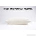 NapYou OFFICIAL Pillows For Sleeping (2 Pack Queen) Shredded Certipur Memory Foam Pillow with Unique and Luxury Pillow Cover Design for Ultimate Breathability made with Organic Cotton - B0747YXC9P