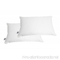 Pacific Coast ® Touch of Down ® King Pillow Set (2 King Pillows) - Featured in Many Hilton ® Hotels - B0027V04HY