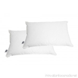 Pacific Coast ® Touch of Down ® King Pillow Set (2 King Pillows) - Featured in Many Hilton ® Hotels - B0027V04HY