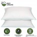 Pillows for sleeping 2 pack Standard size 20x26 inch - Down Alternative Pillow - Set of 2 Comfortable Bed Pillows - Best Hotel Pillows - Soft Hypoallergenic Material - Plush Gel Fiber-Warranty-White - B078M75BGZ