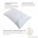 Polar sleep Shredded Memory Foam Pillow For Sleeping Cervical Certipur Cooling Hypoallergenic antimicrobial Orthopedic Ergonomic Pillow washable removable cover Design in USA by (Standard Size) - B07CXYV78P