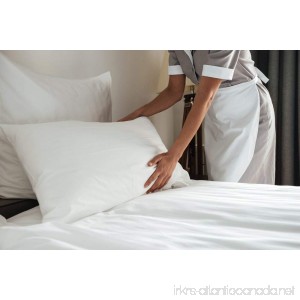 Premium 100% White Goose Down Hotel Pillow Set of 2 (King) - B019ZV6C1A