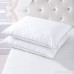 puredown Natural Goose Down Feather Pillows for Sleeping with 100% Egyptian Cotton Pillow Downproof Cover White Set of 2 Standard Size - B07CMT1HDX