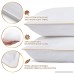 Queen Size Bed Pillows for Sleeping - 20x30 2-Pack - Mid Loft - Soft Fiber Fill - Hypoallergenic - Stripe Cotton Covers - Best Alternative to Feather and Down Bedding - Fit to Standard Pillowcases - B0798XT6JJ