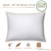 Queen Size Bed Pillows for Sleeping - 20x30 2-Pack - Mid Loft - Soft Fiber Fill - Hypoallergenic - Stripe Cotton Covers - Best Alternative to Feather and Down Bedding - Fit to Standard Pillowcases - B0798XT6JJ
