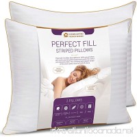 Queen Size Bed Pillows for Sleeping - 20x30  2-Pack - Mid Loft - Soft Fiber Fill - Hypoallergenic - Stripe Cotton Covers - Best Alternative to Feather and Down Bedding - Fit to Standard Pillowcases - B0798XT6JJ