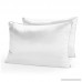 Restorology Genius Pillow (2-Pack) - Hotel Quality Plush Cooling Gel Fiber Filled Pillow with Sateen Gusset - Hypoallergenic & Dust Mite Resistant - Queen - B07646NQ39