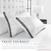Restorology Genius Pillow (2-Pack) - Hotel Quality Plush Cooling Gel Fiber Filled Pillow with Sateen Gusset - Hypoallergenic & Dust Mite Resistant - Queen - B07646NQ39