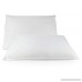 Set of 2 Luxury Goose Feather and Down Bed pillows (Standard) - B01M4P1Y5S