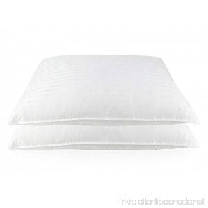 Set of 2 Luxury Goose Feather and Down Bed pillows (Standard) - B01M4P1Y5S