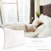 Sleep Restoration 1800 Series Gusset Gel Pillow - (2 Pack Queen) Plush Cooling Gel Fiber - Hypoallergenic & Dust Mite Resistant - B0758H3V9D