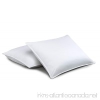 Standard Textile Chambersoft Down-Alternative Pillow  Set of 2  Standard Size (20x26 inches) - B07BNV4Z2K