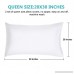 BENEWELL 2 Queen Size Pillow Cases 100% Cotton Hypoallergenic Pillow Cover Envelope Closure End 20x30 Inch (Set of 2 White) - B07FP6CG52