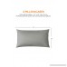 Heidelpeggy Pillowcases Pillow Covers Antibacterial Anti-Microbial and Hypoallergenic Dust Mite Gray Pillow Protectors Queen Size (20 x 30) 2-Pack - B07BBN2VTN