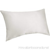 Pinzon Mulberry Silk Pillowcase - Queen White - B0714QK8FG