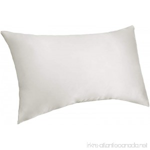 Pinzon Mulberry Silk Pillowcase - Queen White - B0714QK8FG