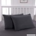 Zippered Pillowcases 2-Piece Super Soft and Durable Brushed Microfiber 1800 Plush Experience Machine Washable - Gray - B0739MYPK2