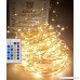 Basik Nature Canopy Mosquito Net Bundle With Fairy Lights 40 Feet for Cute College Dorm Decor - B073T3YNF8