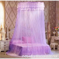 Double Lace Ruffle Bed Canopy Mosquito Net Purple - B01DY65R8G