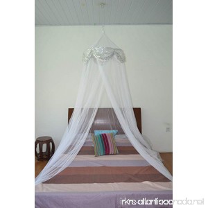 OctoRose Princess Bed Canopy Mosquito Net for Bed Dressing Room Out Door Events (White) - B00YZA6RY4