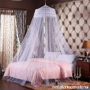 Round Hoop Double Lace Princess Bed Canopy Mosquito Netting Fit Crib Twin Full Queen White - B01FCYA7IS