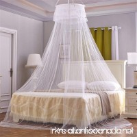Round Purple Mosquito Net Canopies For Twin Full Queen Size Bed Large Netting Curtains Canopy For Beds (White) - B073T9CLFS
