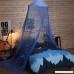 Uarter Boho Princess Mosquito Net Girls Mosquito Net Bed Canopy Bed Conical Curtains with Luminous Butterflies - B0736TPSJ1