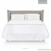 MALOUF WOVEN Matelasse Solid White 14-Inch Bed Skirt - Queen Size - B00WAG2FQY